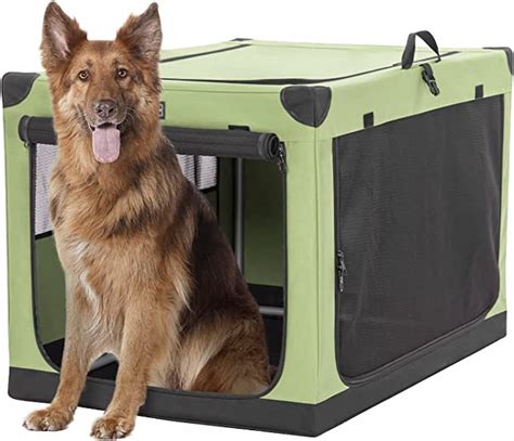 The 8 Best Collapsible Dog Crates for Pups of All 